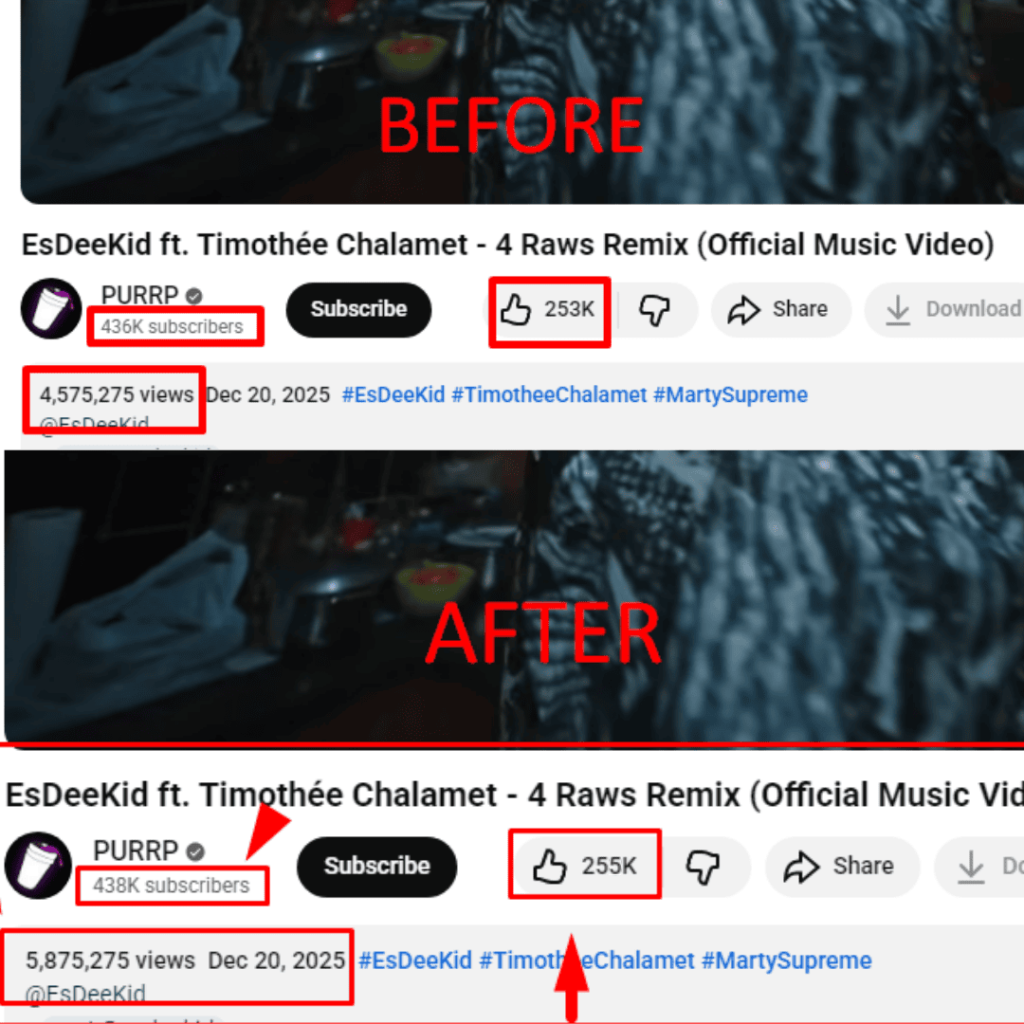 YouTube Video Promotion For Project 2
